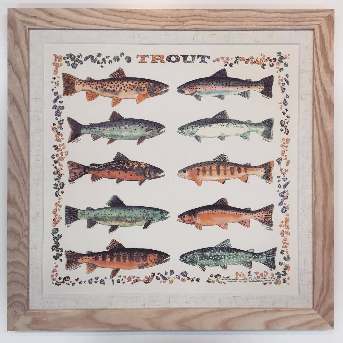  額縁のタカハシ松本店 1