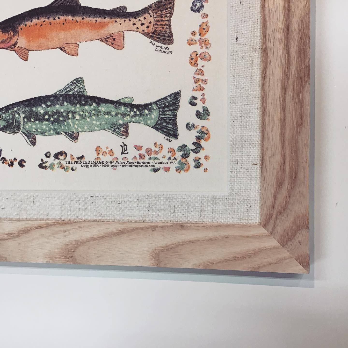  額縁のタカハシ松本店 4