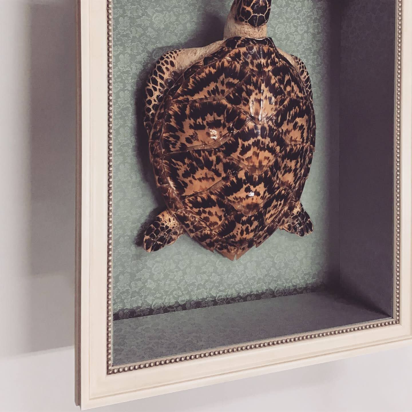  額縁のタカハシ松本店 3