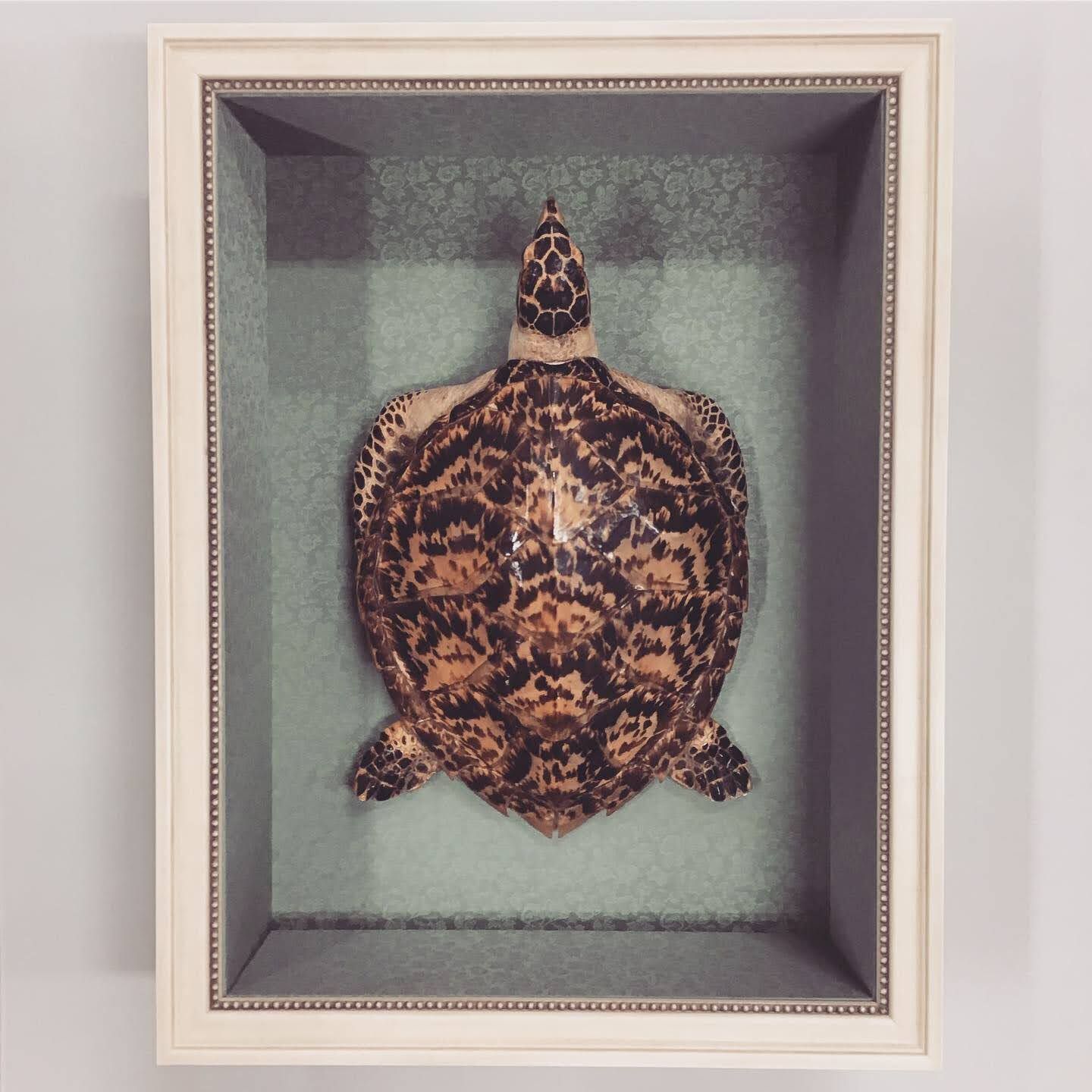  額縁のタカハシ松本店 1