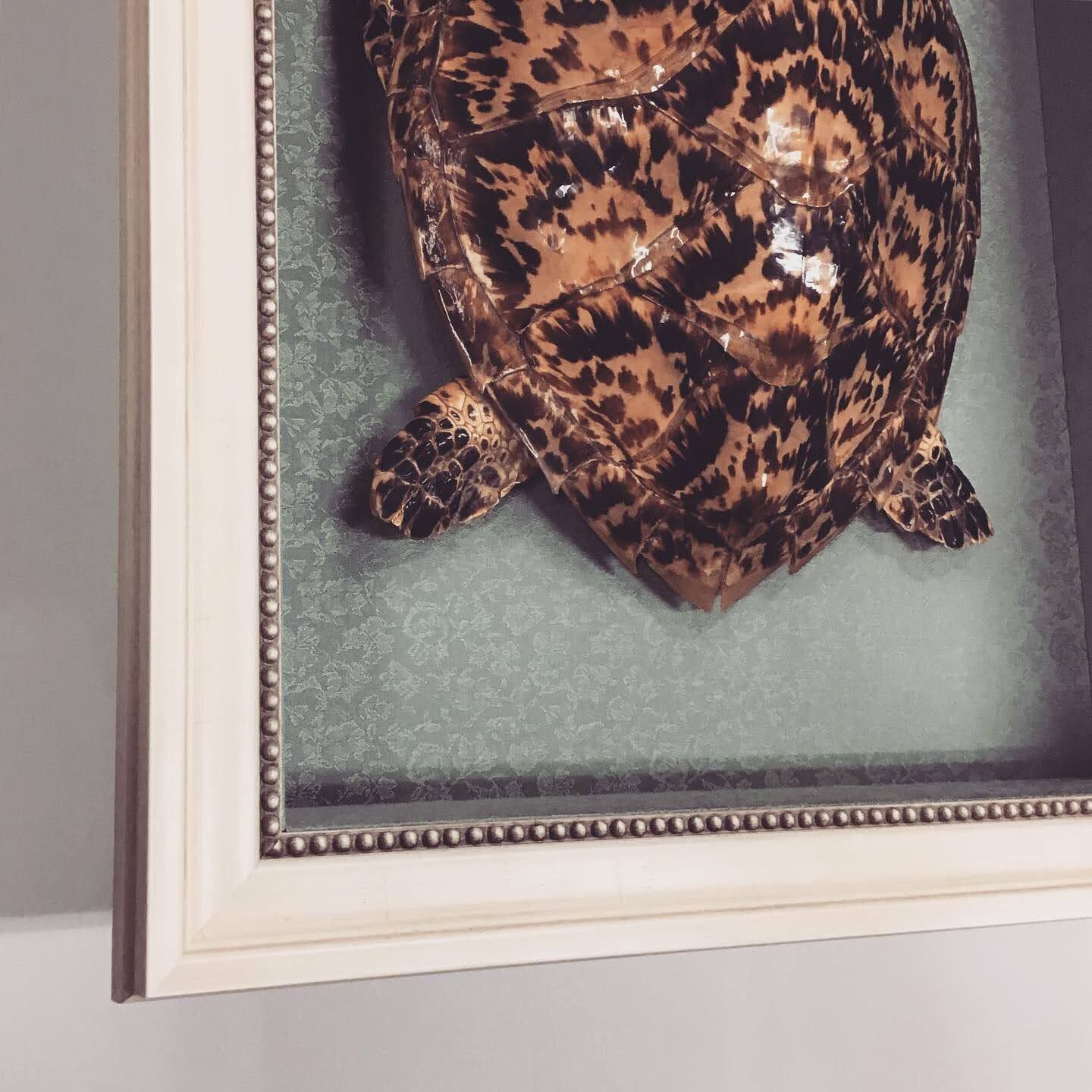  額縁のタカハシ松本店 2