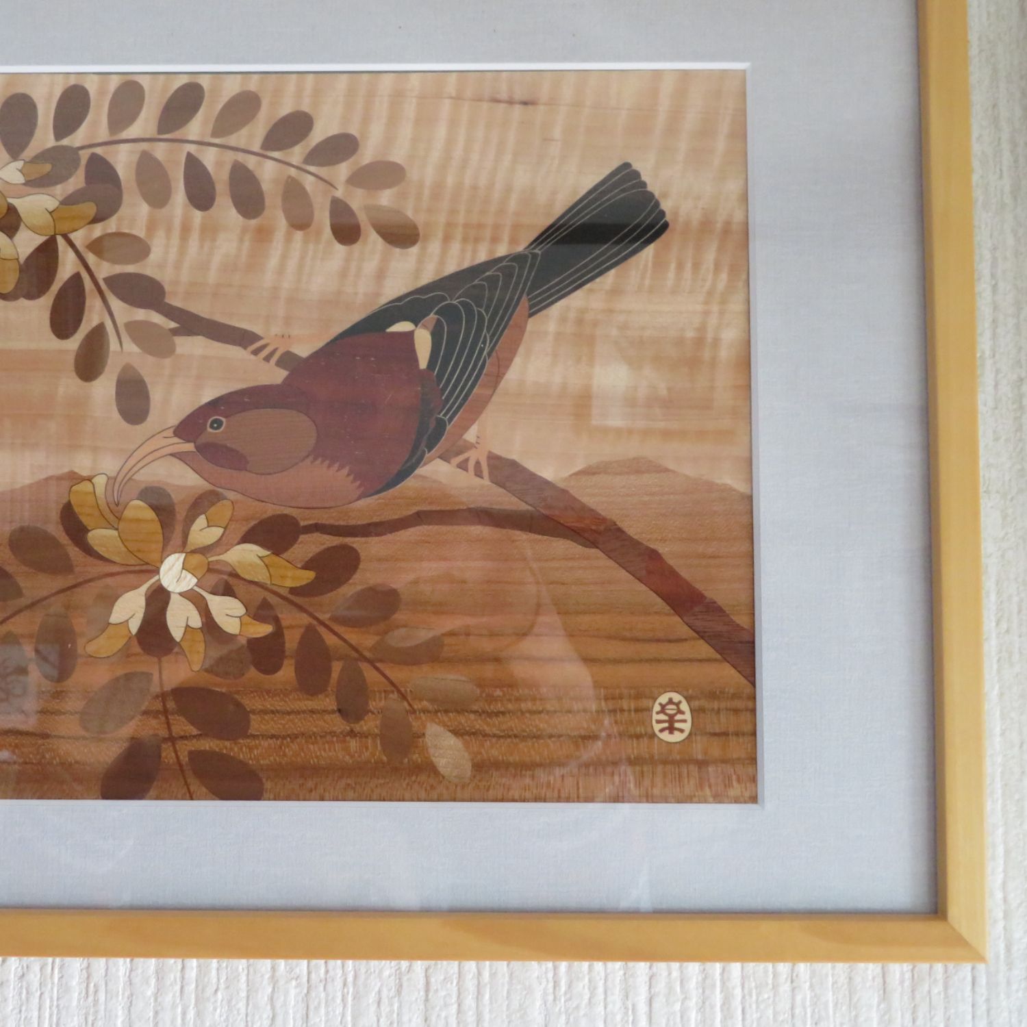 fra-me  髭面燕鴎