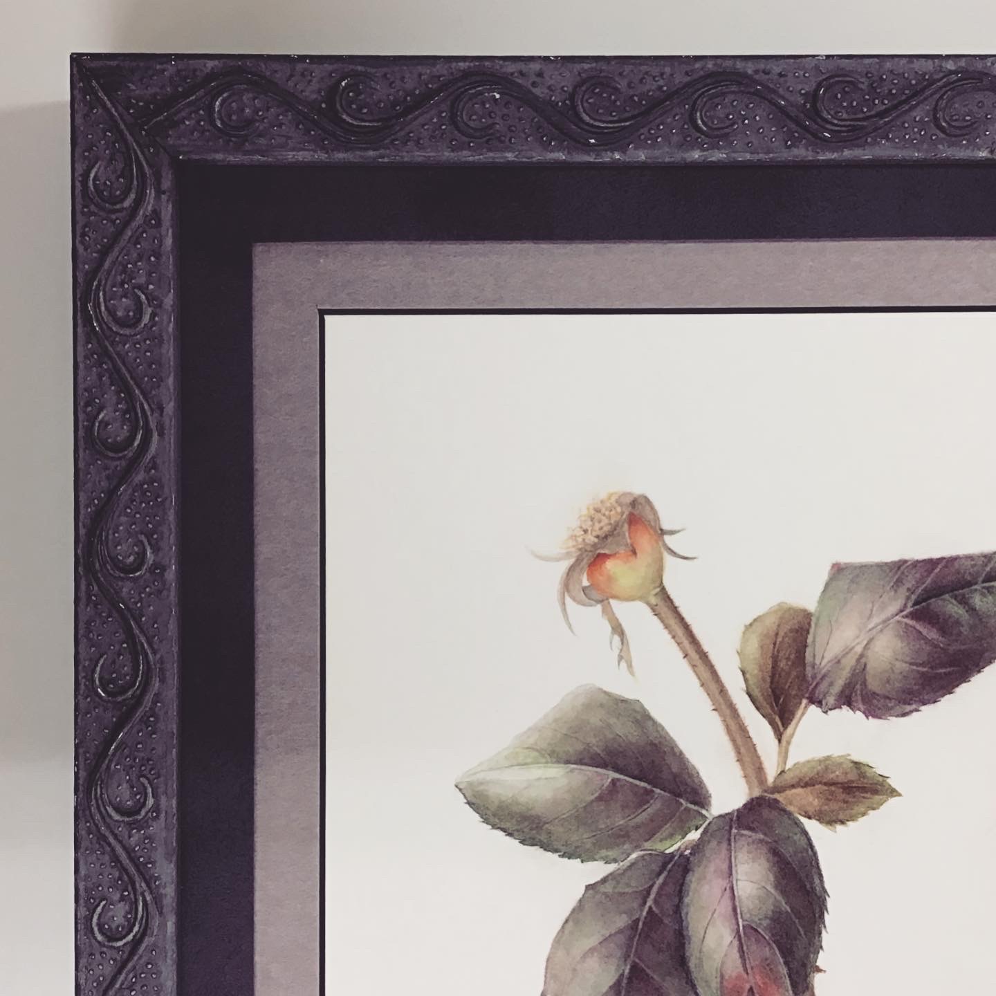  額縁のタカハシ松本店 3