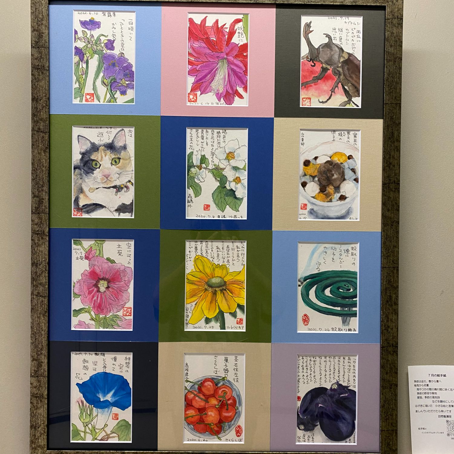 fra-me  シーザー猫