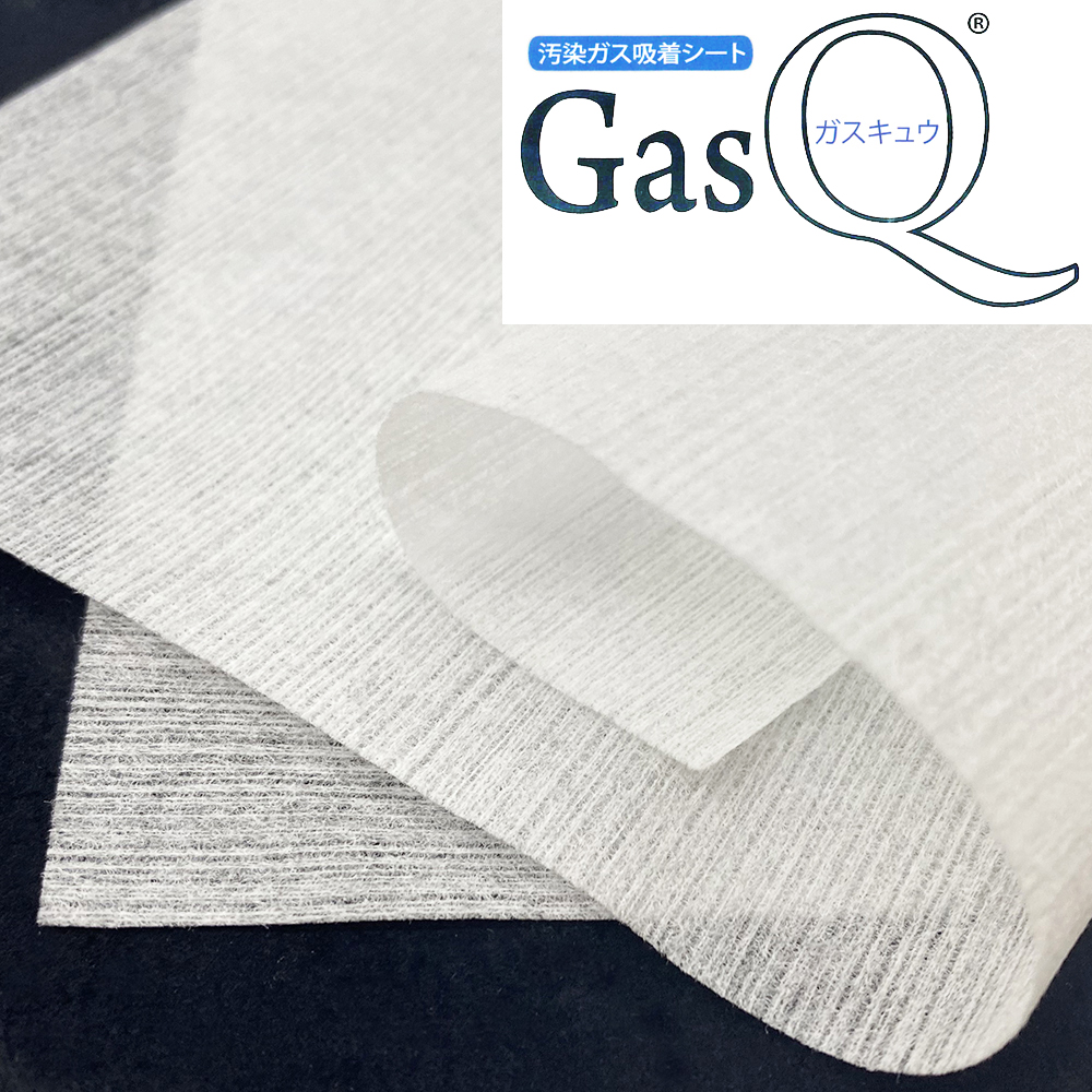 特注保存額装 gasQ(ガスキュウ)のシミュレータ画像