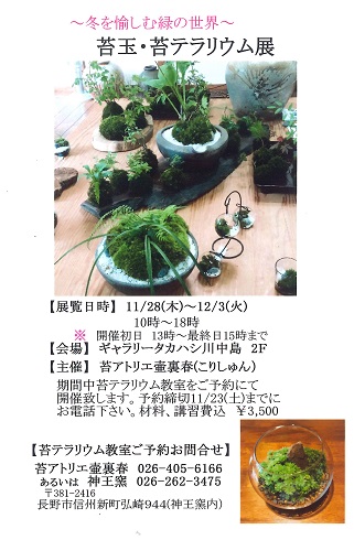 苔玉・苔テラリウム展