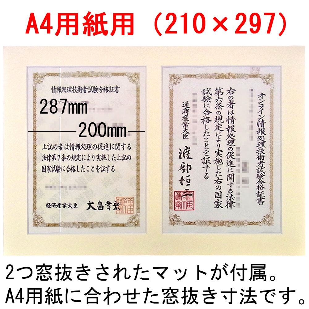 2枚入フレーム B013 コピー用紙サイズが2枚まとめてセットできる額縁です