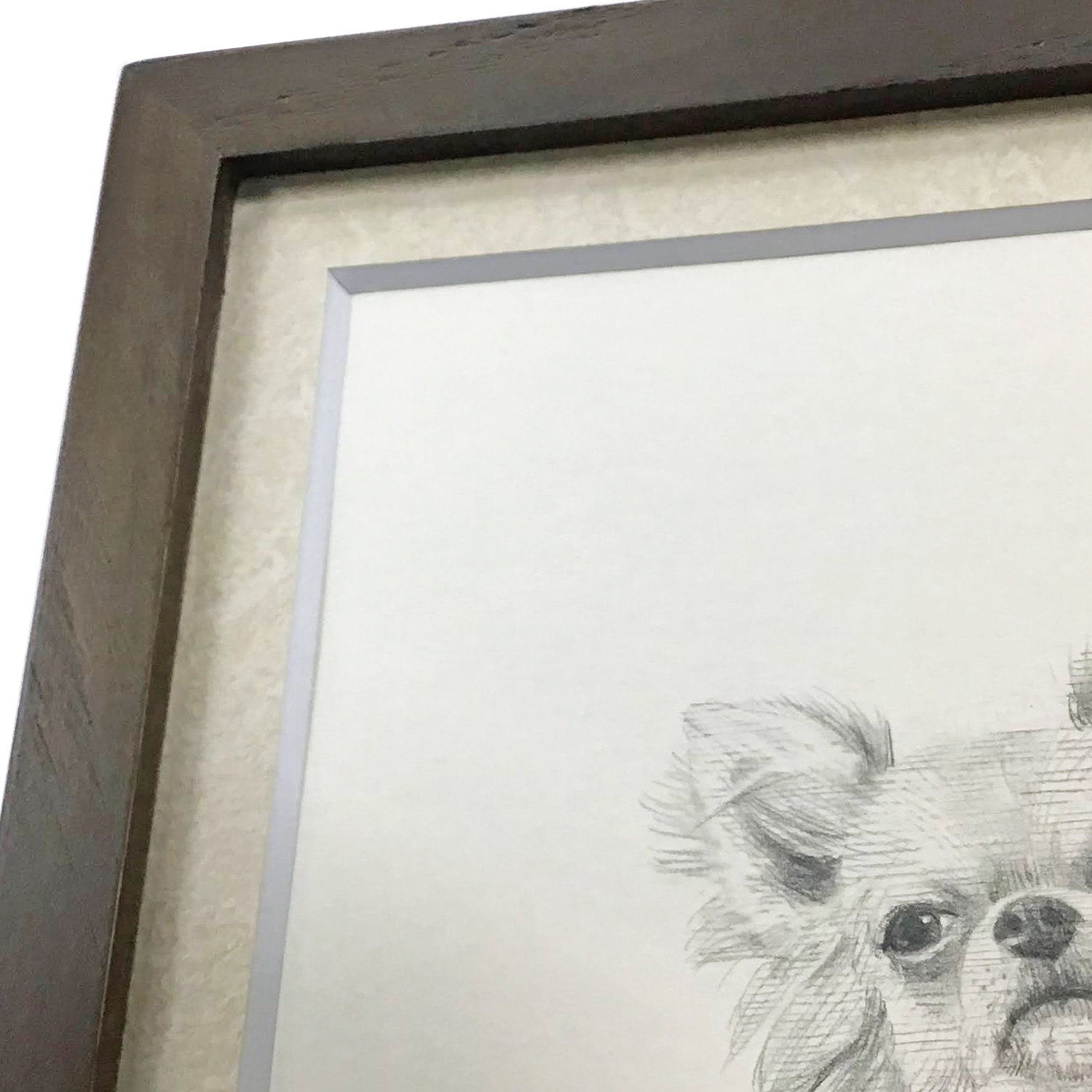 鉛筆画 犬 可愛らしいワンちゃんの鉛筆画にマットを付けて額装 鉛筆画 犬 可愛らしいワンちゃんの鉛筆画にマットを付けて額装