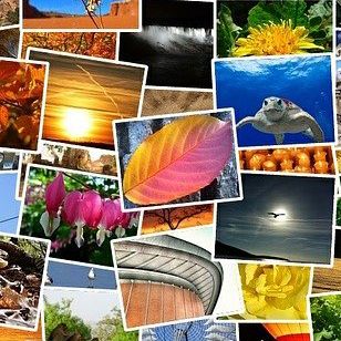 写真の額縁